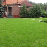 Рулонный газон - Студия ландшафтного дизайна "Строй-Газон"